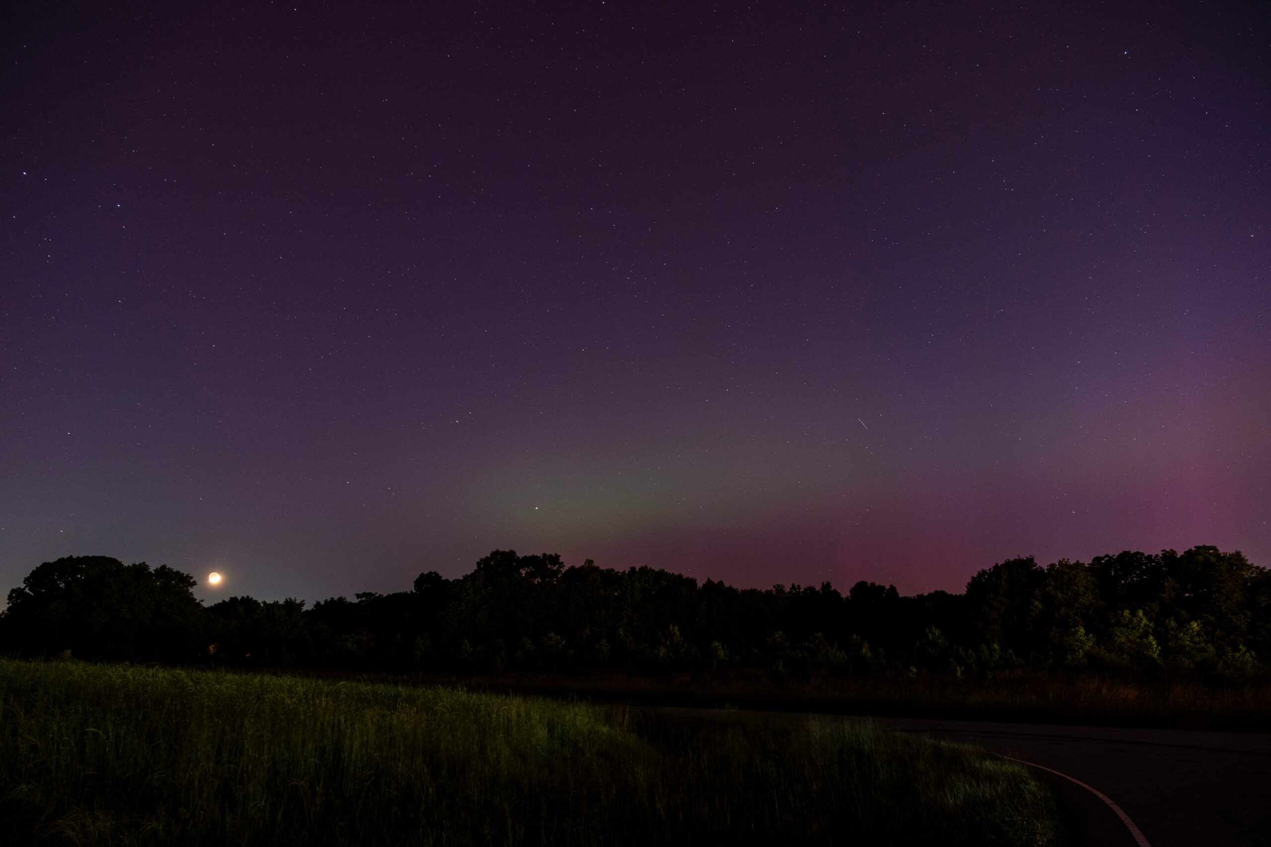 the night sky with the moon and stars above the trees