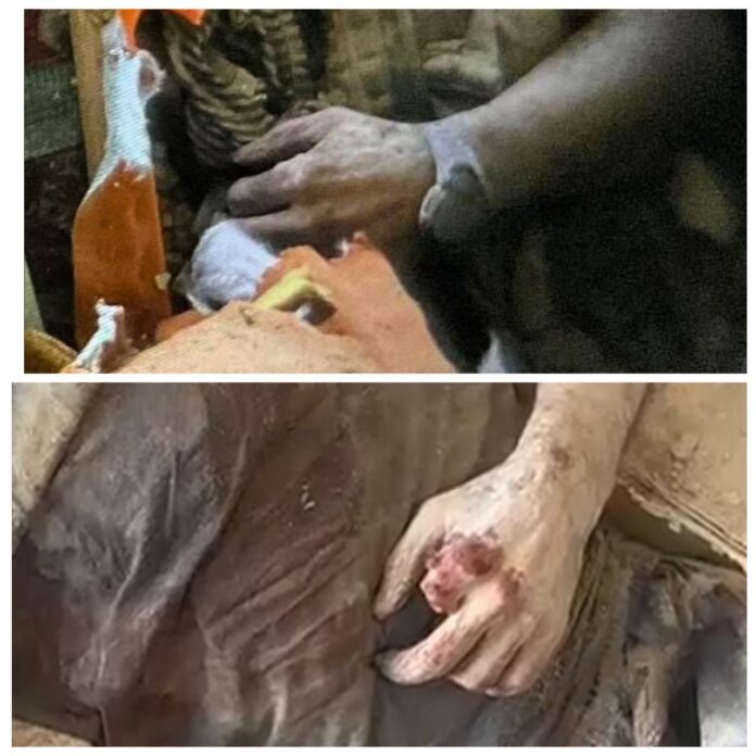 Lorsque Sinwar a été retrouvé, il avait son doigt et une montre, mais ils les ont pris.