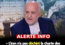 IRAN =Qui a cru qu’il s’agissait de manifestations ” spontanées” ? Il faut être bête pour y croire.