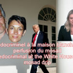 Un pédocriminel à la maison blanche sous perfusion du mosad A paedocriminal at the White House on a mosad drip