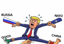 Quelle idée complètement débile : laisser des milliers de marines coincés sur une île pour qu'ils se fassent massacrer par des drones et bombarder par des missiles hypersoniques. Les vieux briscards de la guerre n'ont qu'à passer leur chemin. Vous ne verrez pas l'Iran envoyer des « troupes au sol », parce qu'ils ne sont pas idiots.