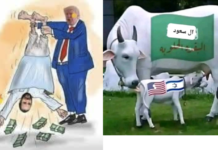 “Trump lui-même a dit que l’Arabie saoudite est une vache : ils la traitent jusqu’à ce qu’il n’en reste plus une goutte, puis l’abattent pour en faire de la viande.”