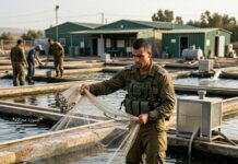 Les soldats de réserve ont été obligés d’aller dans les kibboutz qui gèrent des fermes piscicoles pour collecter les filets de pêche afin de se protéger des marches du Hezbollah.
