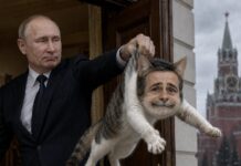 Le plus grand dépôt d’armes occidentales en Ukraine bombardé ? Kyiv s’embrase Le désastre de Washington finit par se retourner contre ses auteurs. Le directeur de la CIA, John Ratcliffe, s'est rendu à Moscou pour persuader la Russie de mettre fin à la guerre, car l'Ukraine est au bord d'un effondrement catastrophique. C’est l’aveu le plus clair que la stratégie menée par Washington a échoué de manière spectaculaire. Après des années d’escalade, de livraisons d’armes et de promesses vaines, ceux-là mêmes qui ont contribué à prolonger le conflit s’empressent désormais de trouver une issue avant que l’Ukraine ne soit dévastée de manière irréversible. Et puis il y a l’Iran. Washington a également demandé à Moscou de faire pression sur Téhéran. L’ironie est presque impossible à manquer. L’administration Trump a contribué à créer ce gâchis en suivant imprudemment Israël dans une confrontation avec l’Iran, et elle a désormais besoin de la Russie pour l’aider à réparer les dégâts. Voilà à quoi ressemble l’incompétence en matière de politique étrangère : créer la crise, mal évaluer les conséquences, puis supplier discrètement ses adversaires de vous sauver des décombres. Une erreur de jugement monumentale et un héritage extraordinaire d’humiliation stratégique.....